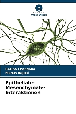 Epitheliale-Mesenchymale-Interaktionen