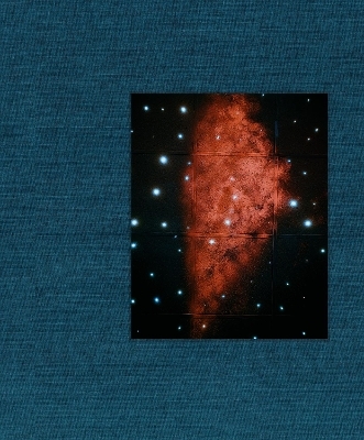 King, Queen, Knave - Gregory Halpern