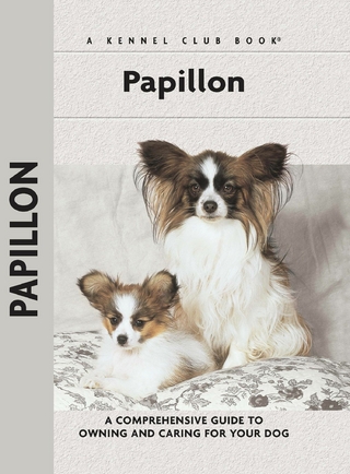 Papillons