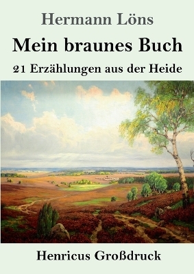 Mein braunes Buch (Großdruck)