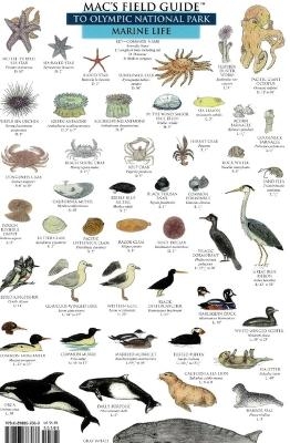 Mac's Field Guides: Olympic National Park - Craig MacGowan