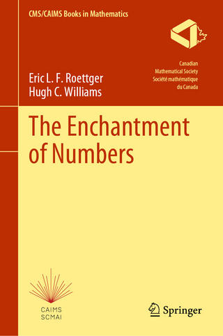 The Enchantment of Numbers