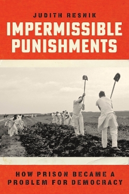 Impermissible Punishments - Judith Resnik