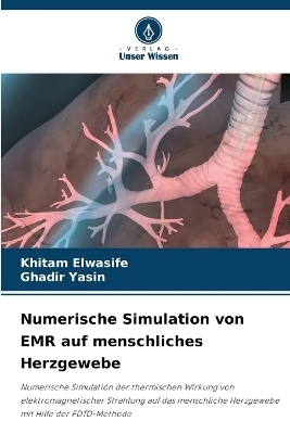 Numerische Simulation von EMR auf menschliches Herzgewebe