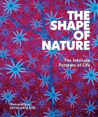 The Shape of Nature - David Maitland