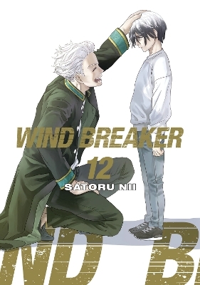 WIND BREAKER 12 - Satoru Nii