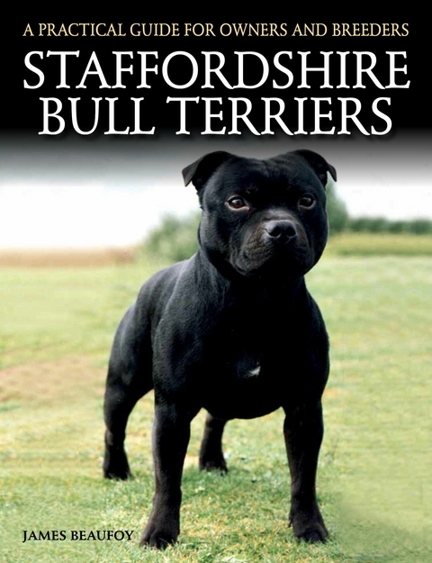 Staffordshire Bull Terrier -  James Beaufoy