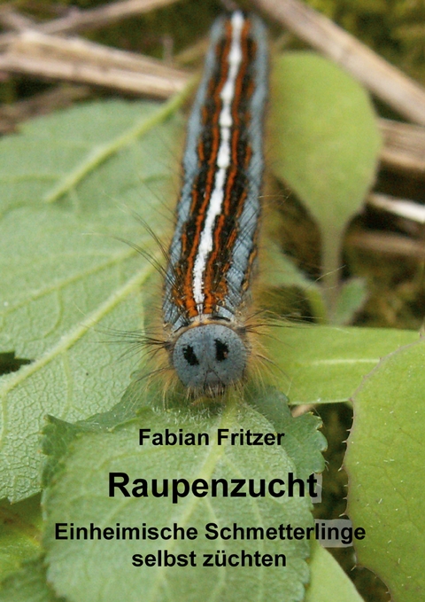 Raupenzucht - Fabian Fritzer