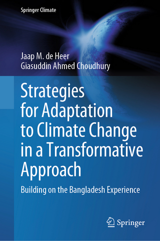 Strategies for Adaptation to Climate Change in a Transformative Approach