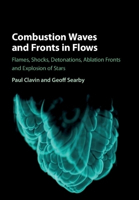 Combustion Waves and Fronts in Flows - Paul Clavin, Geoff Searby