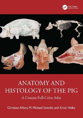 Anatomy and Histology of the Pig