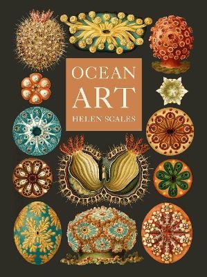 Ocean Art - Helen Scales