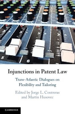 Injunctions in Patent Law - 