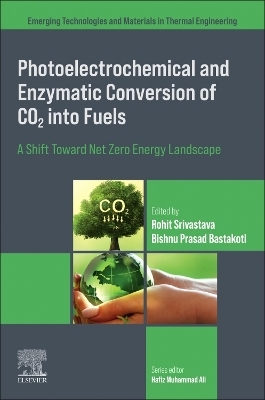 Photoelectrochemical and Enzymatic Conversion of CO2 into Fuels - 