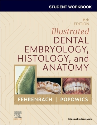 Student Workbook for Illustrated Dental Embryology, Histology and Anatomy - Margaret J. Fehrenbach