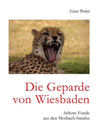 Die Geparde von Wiesbaden