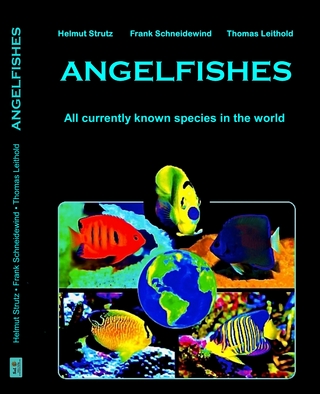 Angelfishes
