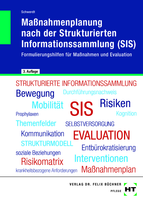Ma&szlig;nahmenplanung nach der Strukturierten Informationssammlung (SIS) - Christine Schwerdt