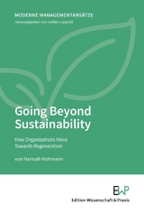 Going Beyond Sustainability - Hannah Hohmann
