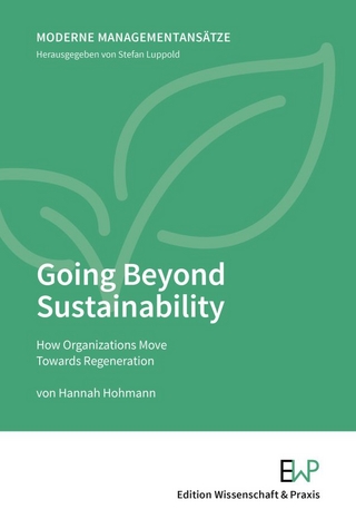 Going Beyond Sustainability