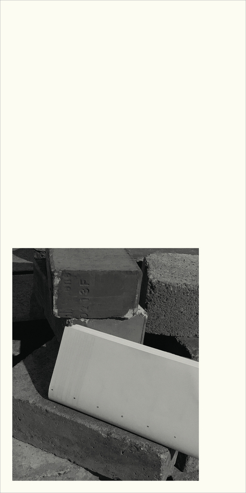 Moving Through Images - David Gallo