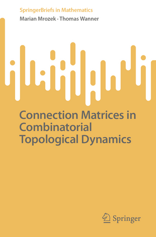 Connection Matrices in Combinatorial Topological Dynamics