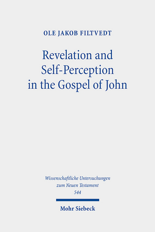 Revelation and Self-Perception in the Gospel of John