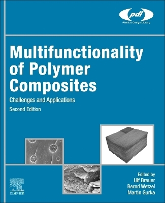 Multifunctionality of Polymer Composites - 