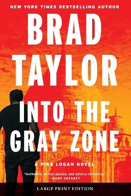 Into the Gray Zone - Brad Taylor