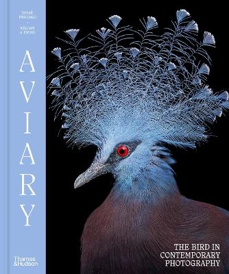 Aviary - William A. Ewing, Dana&eacute; Panchaud
