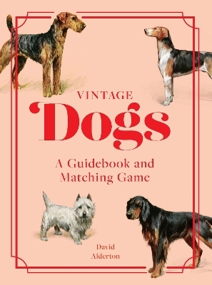 Vintage Dogs - David Alderton