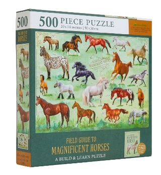 Field Guide to Magnificent Horses