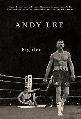 Fighter - Andy Lee