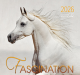 Fascination 2026 - 