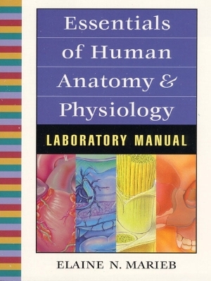 Essentials of Human Anatomy and Physiology Lab Manual - Elaine N. Marieb