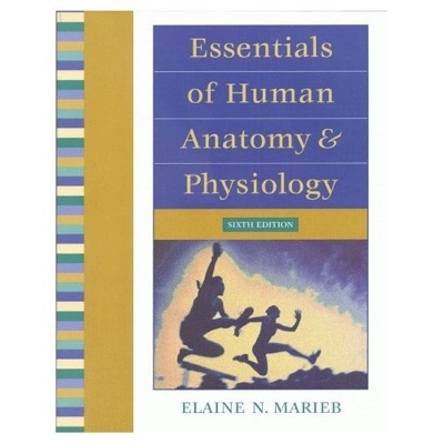 Essentials of Human Anatomy and Physiology - Elaine N. Marieb