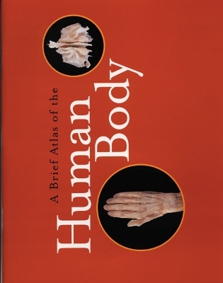 Brief Atlas of the Human Body - Elaine N. Marieb, Jon B. Mallatt, Ralph T. Hutchings