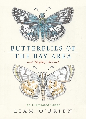 Butterflies of the Bay Area and (Slightly) Beyond
