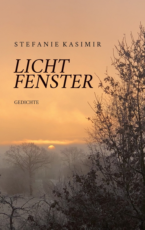 Lichtfenster - Stefanie Kasimir