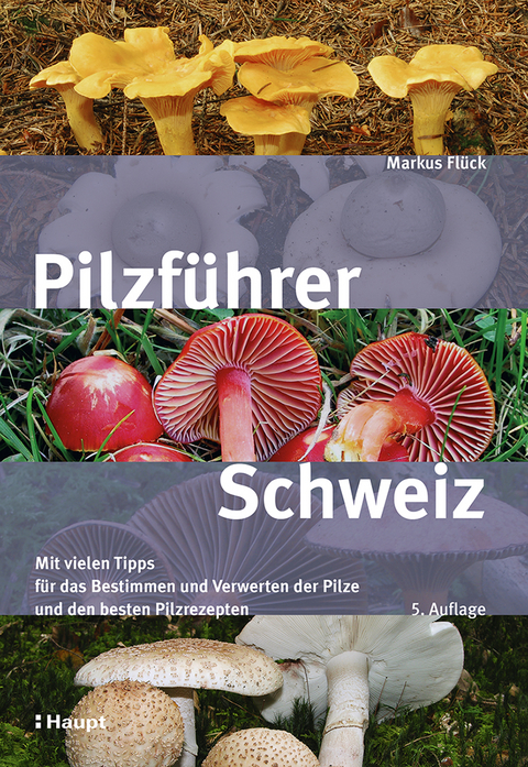 Pilzführer Schweiz - Markus Flück