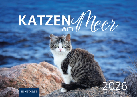 Katzen am Meer 2026 - 