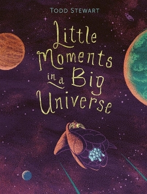Little Moments in a Big Universe - Todd Stewart