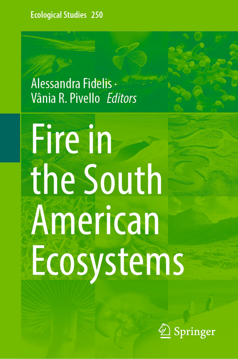 Fire in the South American Ecosystems - 