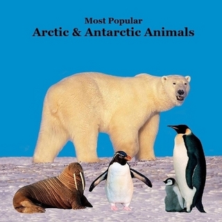 Most Popular Arctic and Antarctic Animals Kids Book