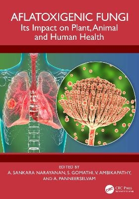 Aflatoxigenic Fungi - 