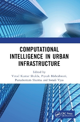 Computational Intelligence in Urban Infrastructure - 