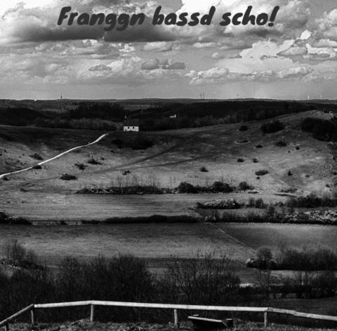 Franggn / Franggn bassd scho! - Fritz Gumbmann