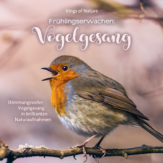 Frühlingserwachen: Vogelgesang - 