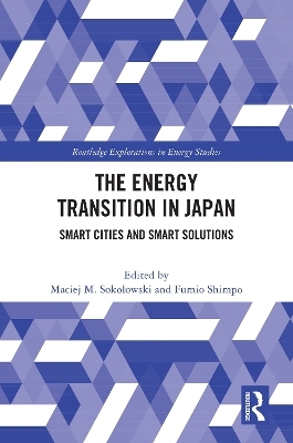 The Energy Transition in Japan