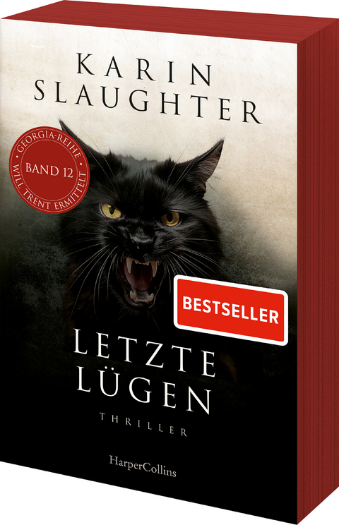 Letzte L&uuml;gen - Karin Slaughter